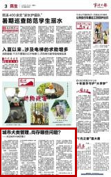 7月29日 城市犬类管理，尚存哪些问题？