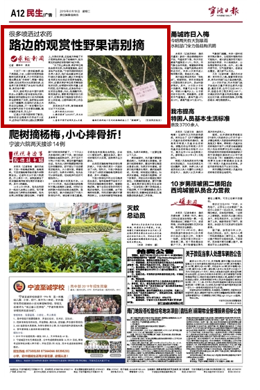6月18日 路边的观赏性野果请别摘