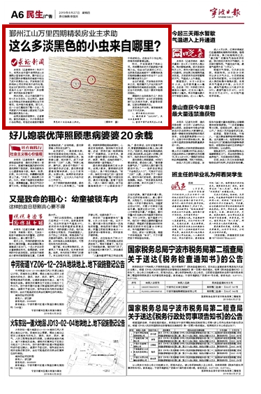 6月27日 这么多淡黑色的小虫来自哪里？