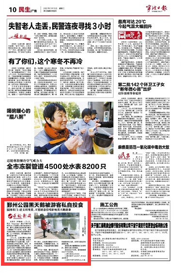 1月13日 鄞州公园黑天鹅被游客私自投食