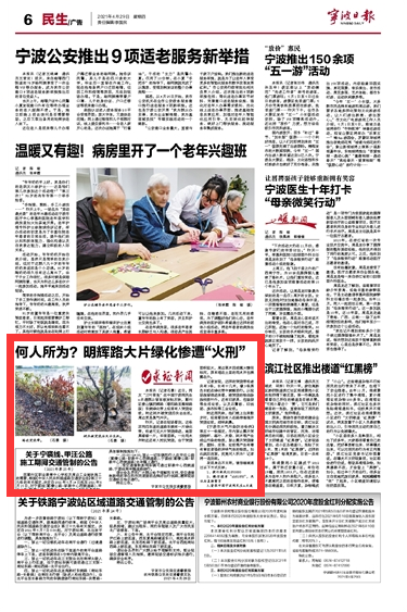 4月29日 何人所为？明辉路大片绿化惨遭“火刑”