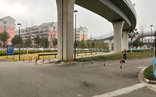 潘火高架桥下道路隔离柱拆除 通行恢复