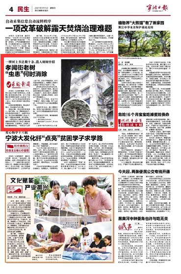 8月5日 孝闻街老树 “虫患”何时消除