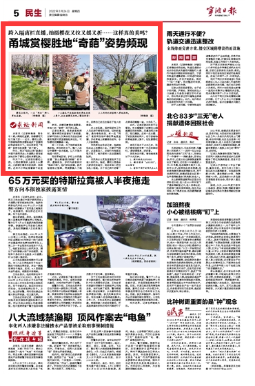 3月24日 甬城赏樱胜地“奇葩”姿势频现