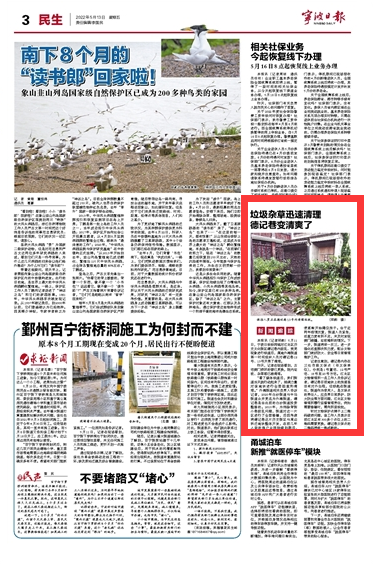 5月13日 垃圾杂草迅速清理 德记巷变清爽了