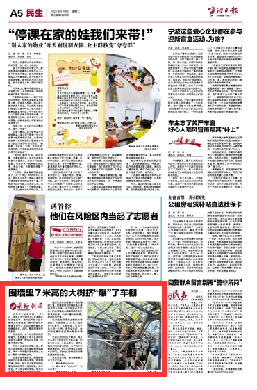 9月6日 围墙里7米高的大树挤“爆”了车棚