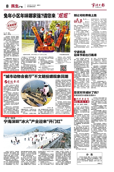 1月18日 “城市动物会客厅”不文明投喂现象回潮