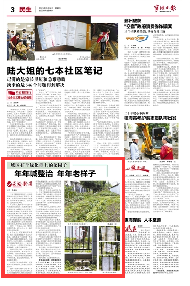 6月4日 城区有个绿化带上的菜园子  年年喊整治 年年老样子