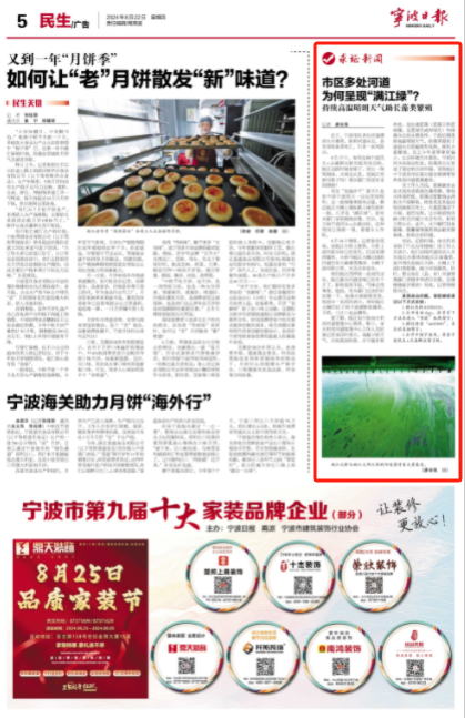8月22日 市区多处河道 为何呈现“满江绿”？