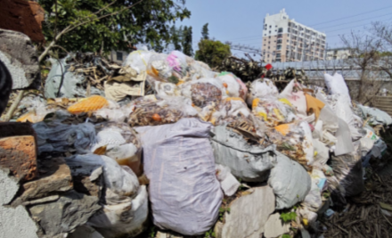 偷倒猖獗！环城北路一拆迁地块时常臭气逼人